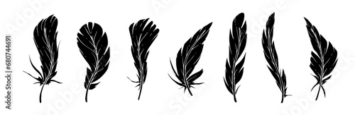 Set of bird feather silhouettes. Vector graphics. photo