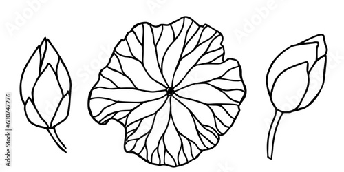lotus flowers, leaves and buds black line art. Set of vector illustration. Outline floral drawing for for logo, tattoo, packaging design, compositions. Water Lily botanical vector design.
