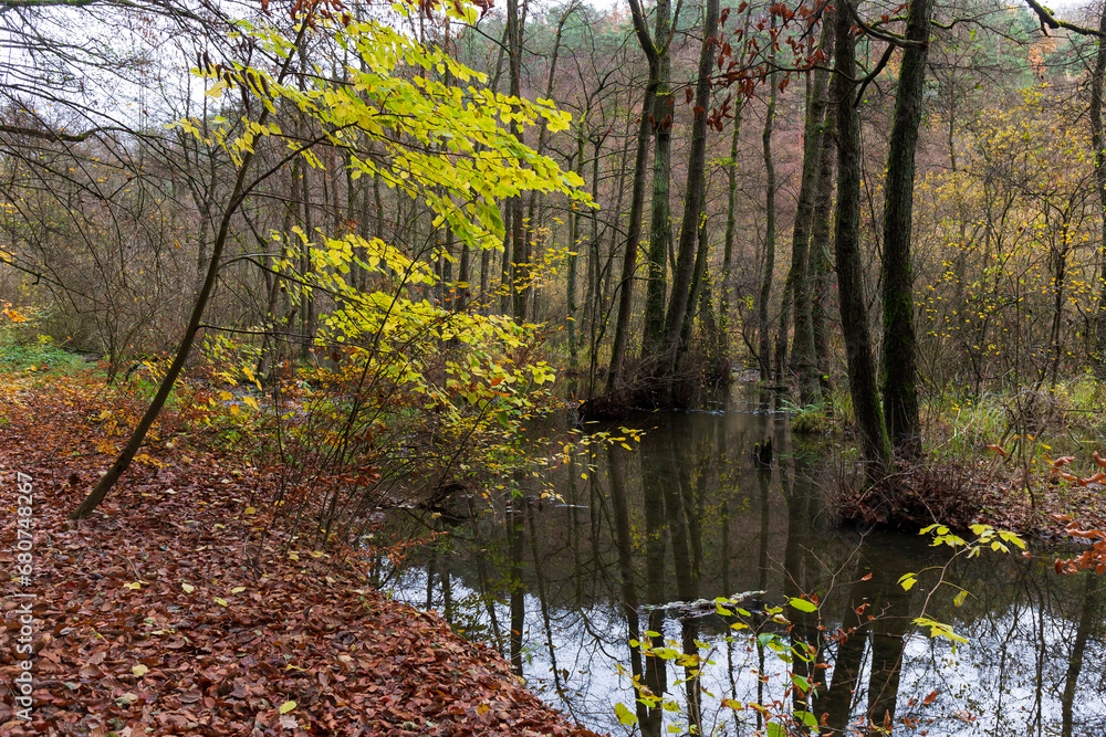 Colorful autumn Landscape in the Central Bohemian Region of the Czech Republic, Kokorin