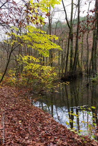 Colorful autumn Landscape in the Central Bohemian Region of the Czech Republic  Kokorin