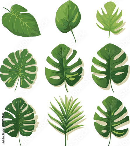A collection of tropical leaves on a white background