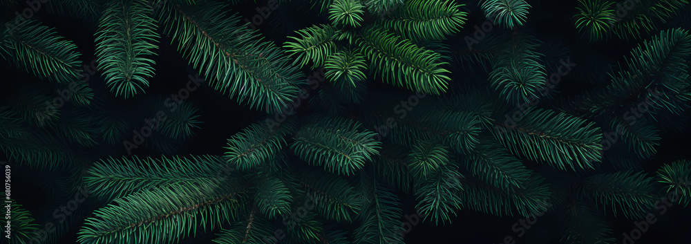 Green branches of pine trees on a black background