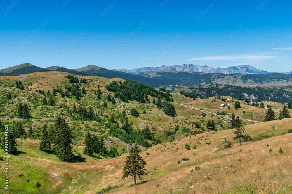 Fototapeta premium Durmitor National Park Montenegro