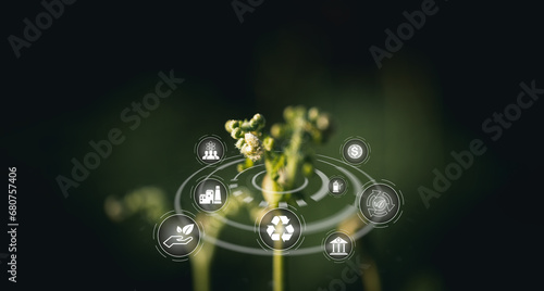 ESG icon concept with fern top for environmental, social, and governance in sustainable and ethical business on the Network connection on a green background. environmental icon, banner and copy space
