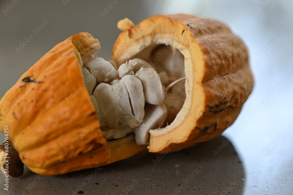 Cocoa fruit, raw cacao beans on a black background