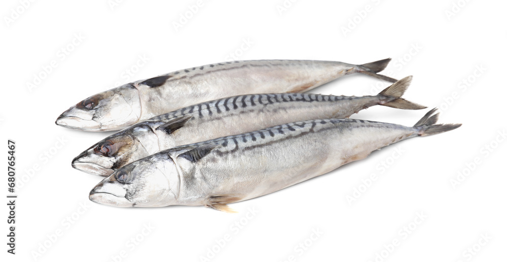 Many tasty salted mackerels isolated on white Many tasty salted mackerels isolated on white