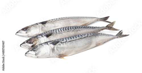 Many tasty salted mackerels isolated on white