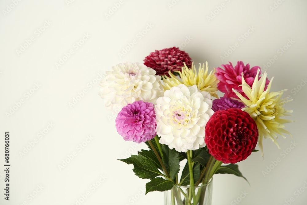 Bouquet of beautiful Dahlia flowers in vase near white wall. Space for text