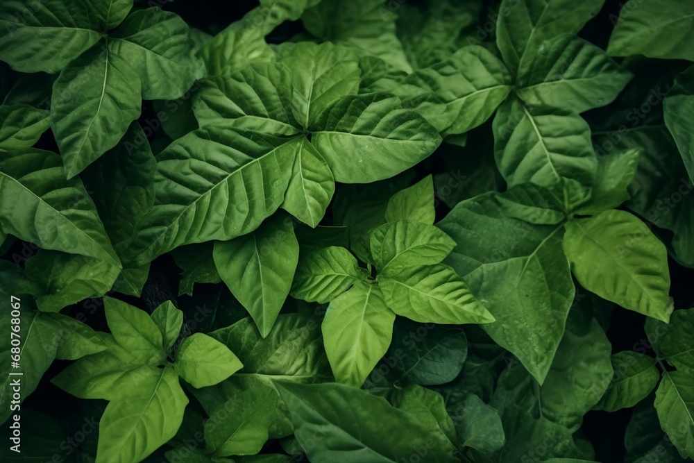 Green leaf texture. Leaf texture background. generative ai. Green leaf texture. Leaf texture background. generative ai.