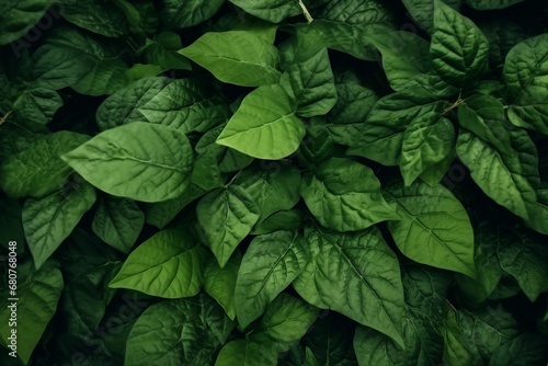 Green leaf texture. Leaf texture background. generative ai.