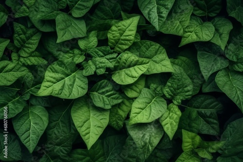 Green leaf texture. Leaf texture background. generative ai.