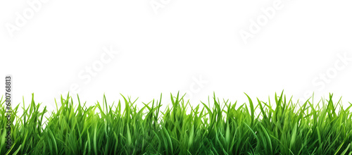 Green grass border, on a transparent background. The horizon of the green lawn. Greenfield frame, background, PNG file © Sasint