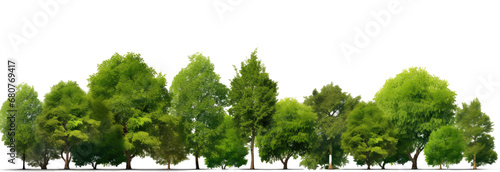 Green Trees on a transparent background. are Forest and foliage, PNG file