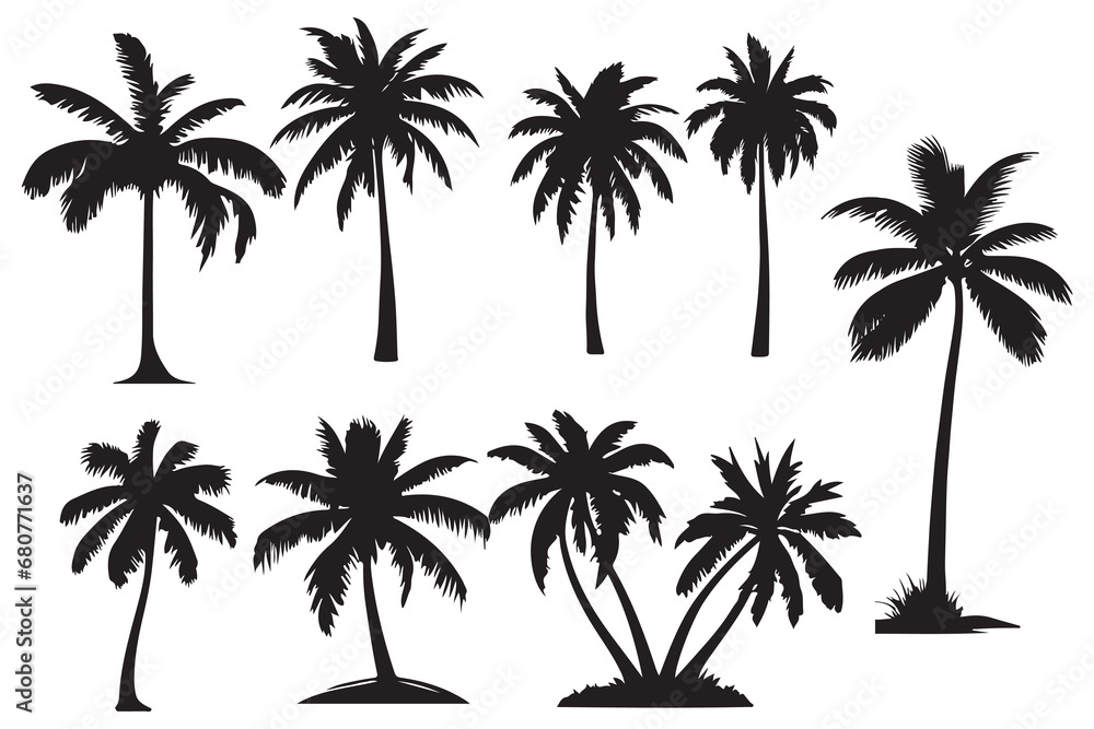 Fototapeta premium palm trees silhouettes. Isolated coconut on the white background.