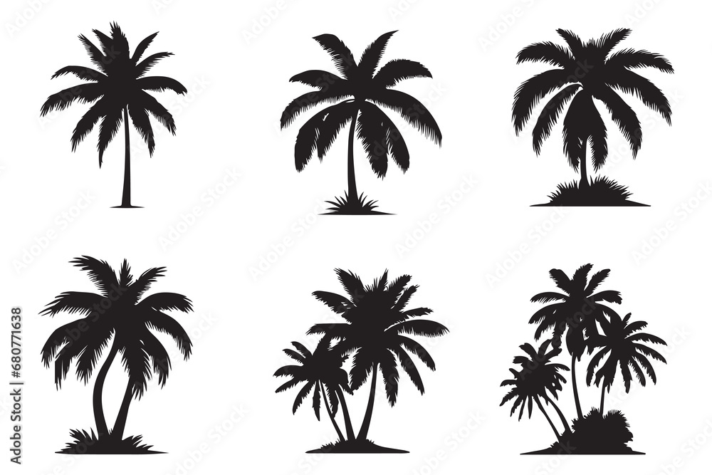 palm trees silhouettes. Isolated coconut on the white background.
