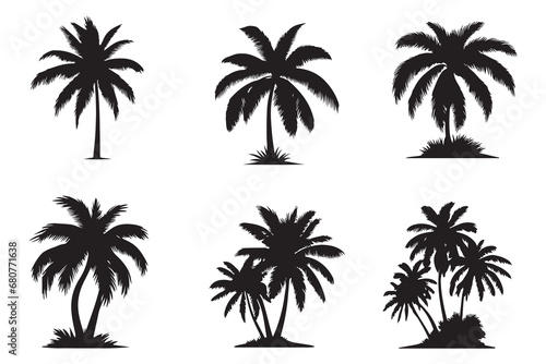 palm trees silhouettes. Isolated coconut on the white background. © CHAIYAPHON