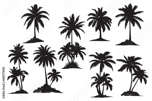 palm trees silhouettes. Isolated coconut on the white background.