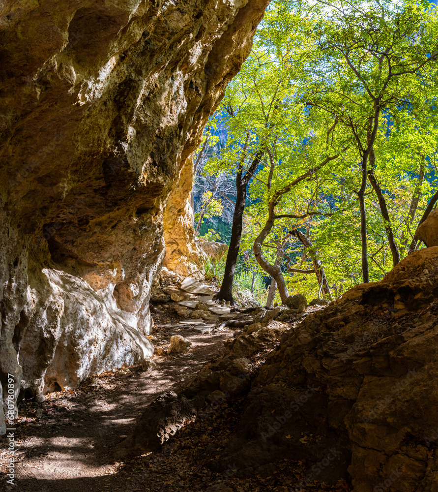 Limestone Canyon Walls at The Grotto , McKittrick Canyon Trail, Guadalupe Mountains National Park, Texas, USA