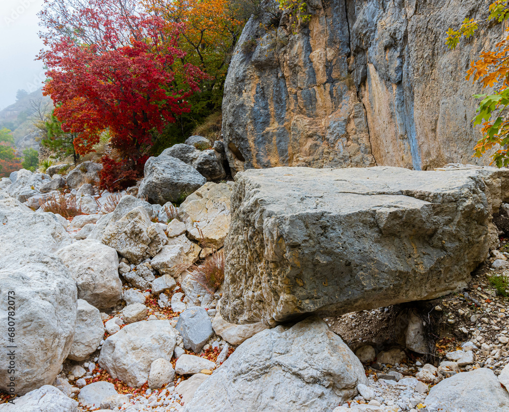 Fall Foliage on The Dry Wash of Devils Hall Trail, Guadalupe Mountains National Park, Texas, USA Fall Foliage on The Dry Wash of Devils Hall Trail, Guadalupe Mountains National Park, Texas, USA