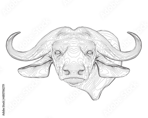 Outline of a buffalo head with large horns made of black lines isolated on a white background. Front view. Vector illustration.