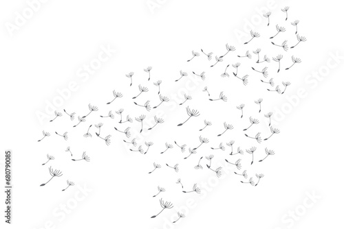 Dandelion Logo, Vector Plant Dandelion flower, Design Icon Template