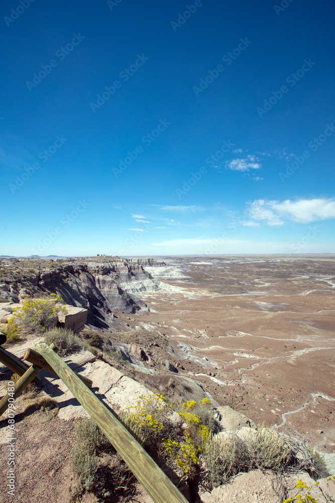View of Petrified Forest National Park desert landscape in Arizona United States