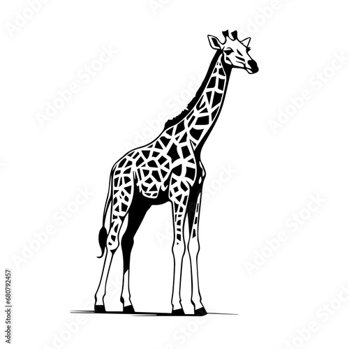 Giraffe Vector