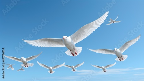 Snow Geese Anser Caerulescens Flying By , Wallpaper Pictures, Background Hd photo