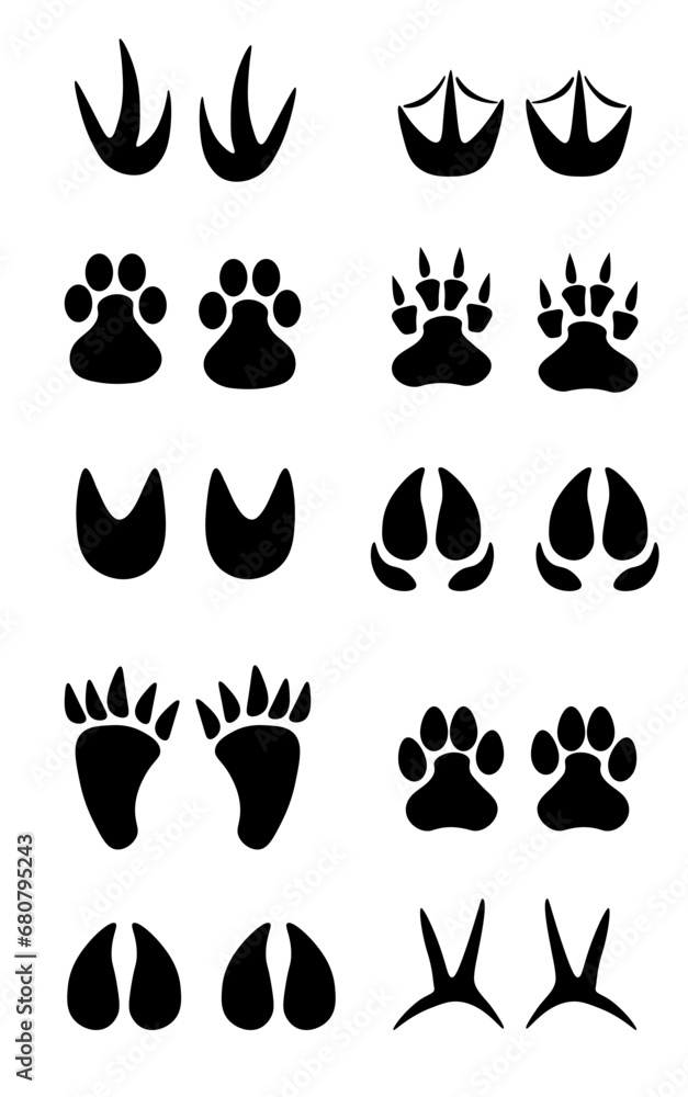Fototapeta premium Set of different black animals and bird footprint. Silhouette imprint collection. Vector flat illustration isolated on white background.
