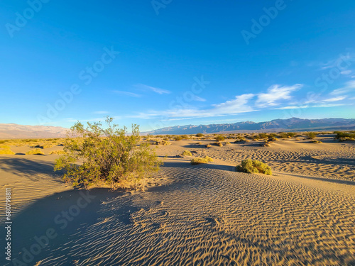 Desert Landscapes Death Valley