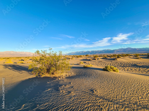 Desert Landscapes Death Valley