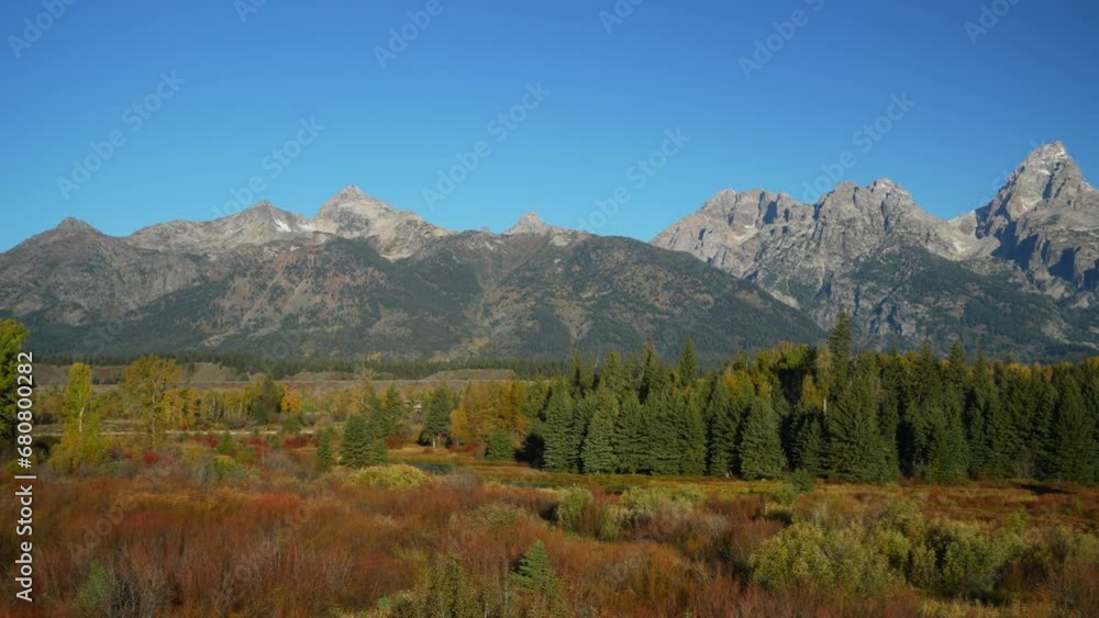 Cinematic pan right motion Grand Teton National Park entrance Blacktail Ponds Overlook wind in tall grass fall Aspen golden yellow trees Jackson Hole Wyoming mid day beautiful blue sky no snow on peak