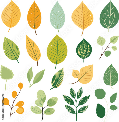 Leaf design elements on white background