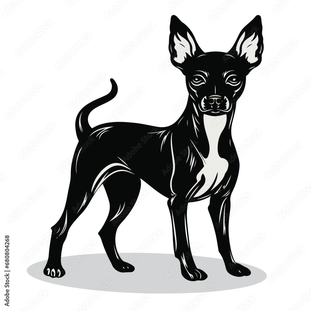 Rat Terrier silhouettes and icons. black flat color simple elegant Rat Terrier animal vector and illustration. Rat Terrier silhouettes and icons. black flat color simple elegant Rat Terrier animal vector and illustration.