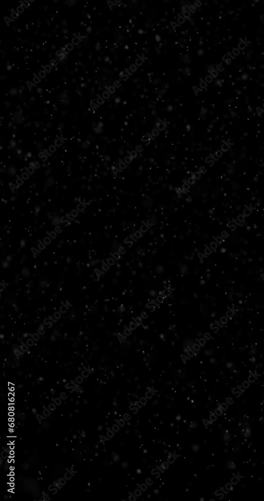 Realistic snowfall snowflakes on vertical black loop background. Realistic snowfall snowflakes on vertical black loop background.