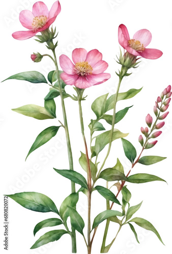 Watercolor wildflower clipart © Pram