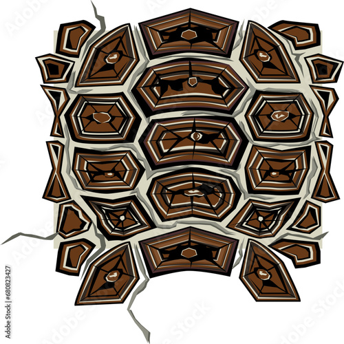 background with tattoo, Real Pond Turtle Shell 