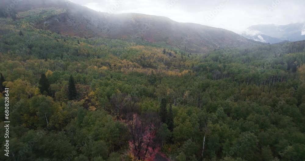 Drone View of Misty Skies and Autumn Leaves in American Fork Canyon Drone View of Misty Skies and Autumn Leaves in American Fork Canyon