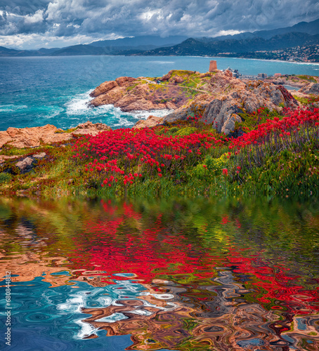 Red flowers and Genoise de la Pietra a L'ile-Rousse tower reflected in the calm waters of small lake. Amazing summer scene of de la Pietra cape, Corsica island, France. Traveling concept background.