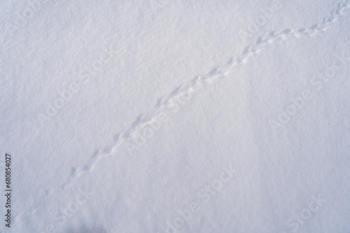 The ground covered with snow and the tracks of a mouse or common vole (microtus arvalis) on the snow after a snowfall in winter. Prints in the snow. mouse tracks in the snow in the forest.