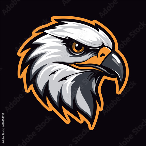 Eagle head mascot logo vector design photo