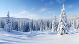winter nature landscape forest with snow