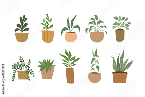 Organic flat houseplant vector collection