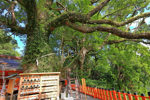 Kumano-Nachi Taisha Grand Shrine at Nachisan, Nachikatsuura, Wakayama, Japan photo