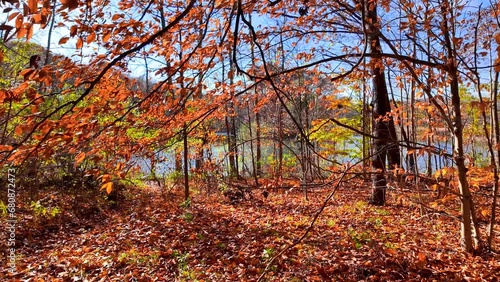 Scenic walking trail in Maybery state park in Novi, Michigan during late autumn time. photo