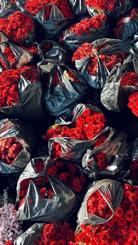 red autumn flowers in black bags © Анна Яблоновская