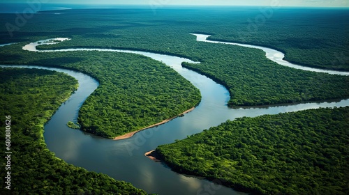 Aerial View Of The Rainforest Jungle With River