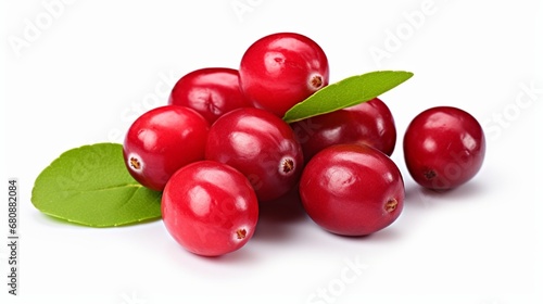 Cranberry clipping path isolated on white backdrop, berry gathering, fresh falling cranberries with leaves.