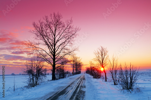 landscape winter trees and fields covered by snow in Poland, Europe on sunny day in winter, amazing clouds in blue sky