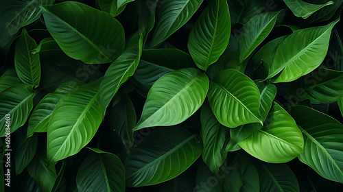 Green leaves texture. Tropical leaf background. Banner. Top view. Made with generative ai